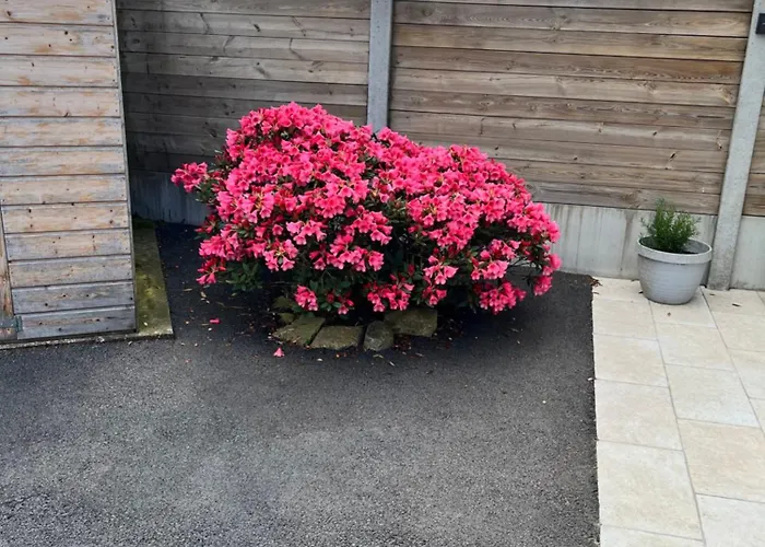 Plages Du Debarquement Holiday home *